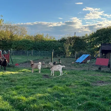 Gutshaus Schwarzenhof 아파트