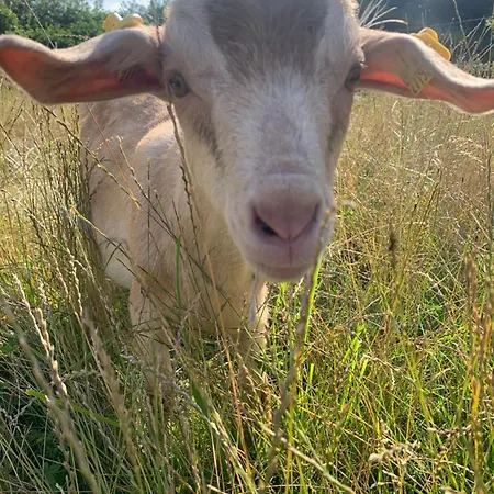 Appartement Gutshaus Schwarzenhof *