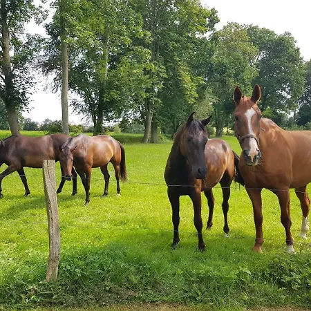 Appartement Gutshaus Schwarzenhof Dargun