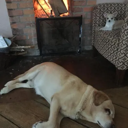 Appartement Gutshaus Schwarzenhof