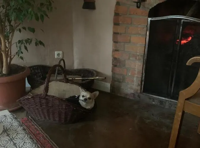 아파트 Gutshaus Schwarzenhof 다르군