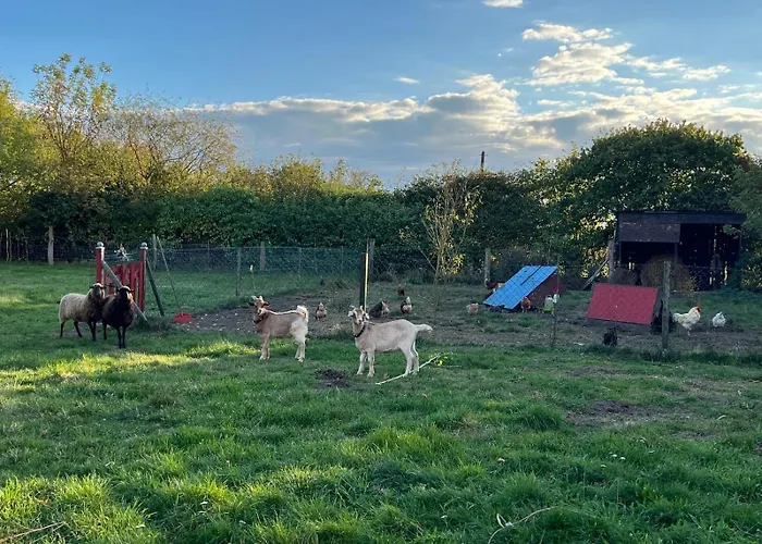 Gutshaus Schwarzenhof 아파트