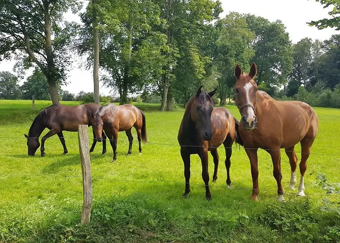 아파트 Gutshaus Schwarzenhof 다르군