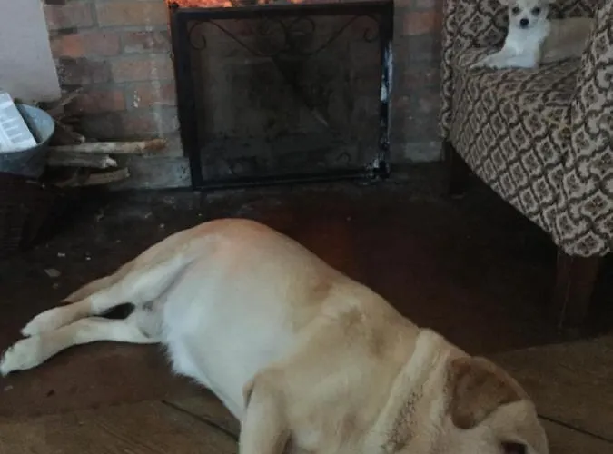 아파트 Gutshaus Schwarzenhof